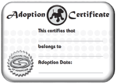 Bentley Adoption Certificate