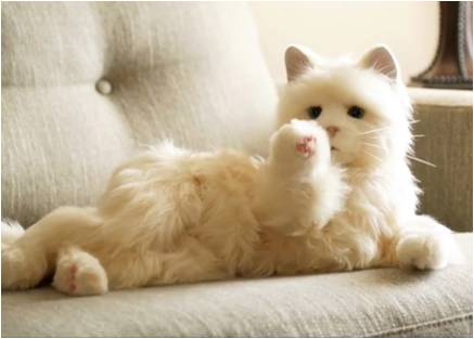 White Joy for All Hasbro Companion Pet Cat