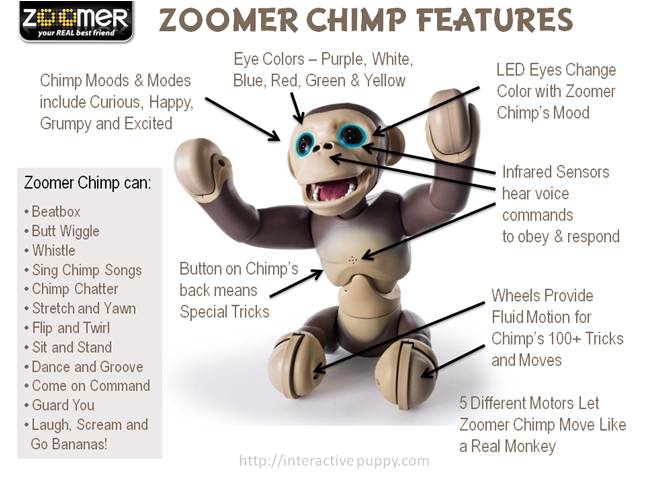 Zoomer Chimp Features