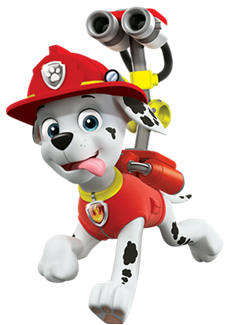 zoomer from paw patrol