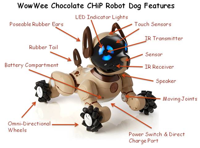 buy chip robot dog